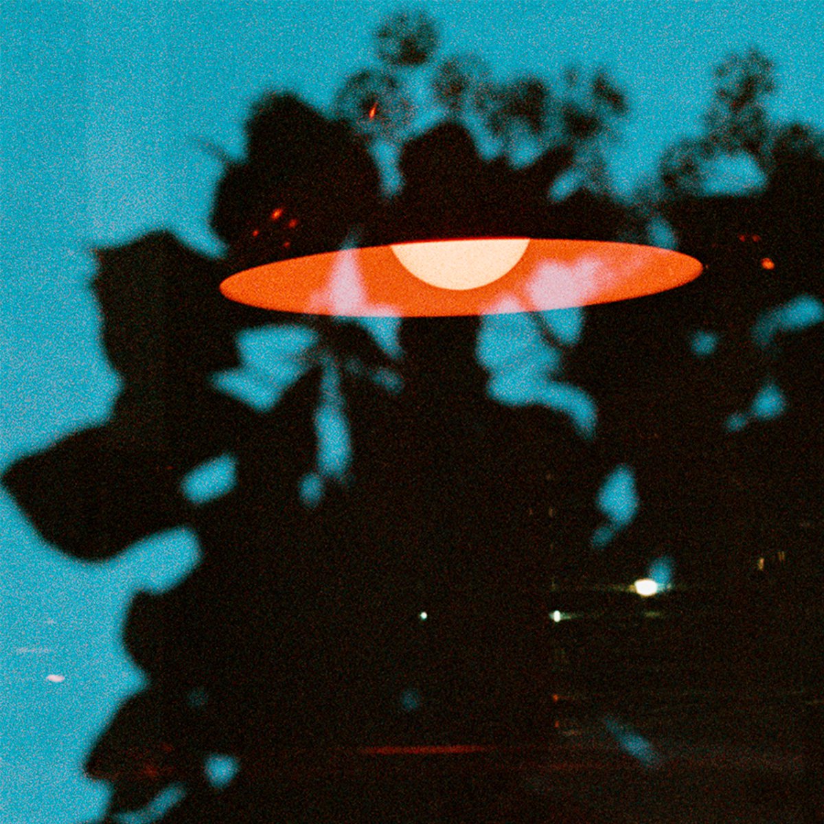 SVNSET WΛVES tweet media