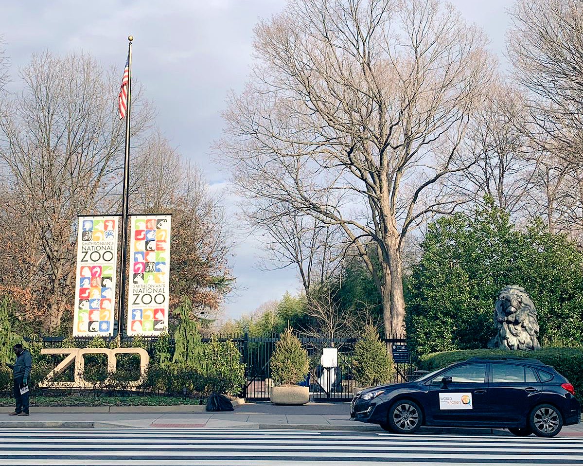 chefjoseandres's tweet photo. Hundreds of steak sandwiches and roasted brussel sprout bowls delivered to the amazing employees of our @NationalZoo who have been caring for the animals through the shutdown! @WCKitchen #ChefsForFeds 🐼🐯🦁🐨 https://t.co/M7ggSk2iUO