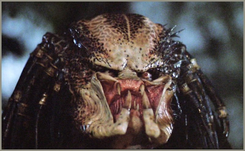 GermanLaposse's tweet photo. RIP makeup artist extraordinaire Matt Rose.

The Predator, the Gill Man from Monster Squad, Hellboy and so many more... Every unforgettable movie monster he helped give birth to was iconic, elegant and full of soul. https://t.co/A5yT0b8FII