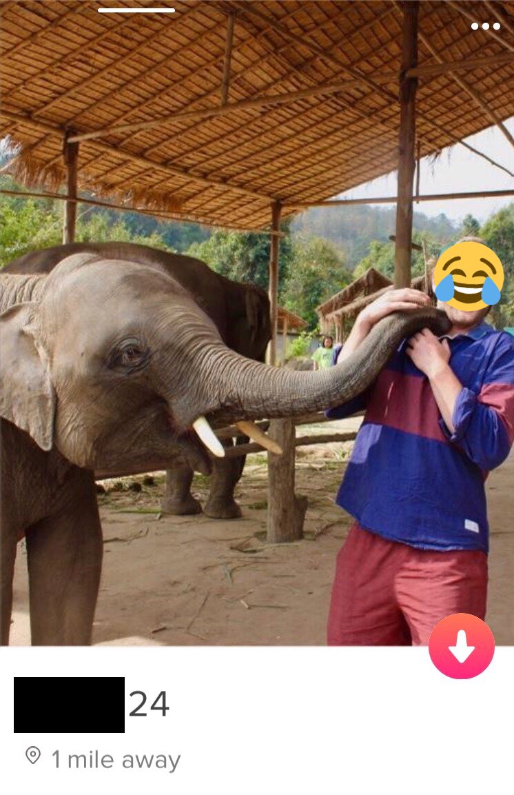 Guys on Tinder Who tweet media