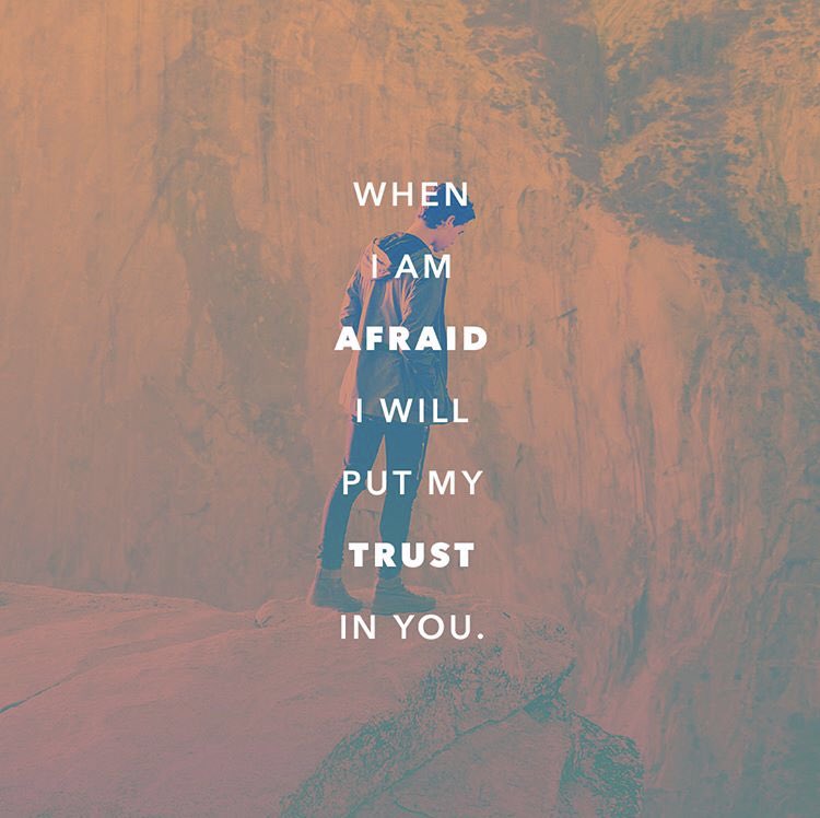 olor_ym's tweet photo. And those who know 
Your name will 
put their trust in You.
For You, O Lord, 
have not forsaken 
those who seek You.

[PSALM 9:10] https://t.co/MSpK3aEKSE