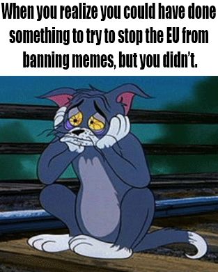 spee_ch's tweet photo. Back on tuesday we posted this link: https://t.co/yX7QtP5ifc
If you are in the #EU and want to help stop the #MemeBan, go there, read and follow the instructions and #TakeAction!
Don't be this weeks #depressing #caturday meme: https://t.co/XYdxIydSu1