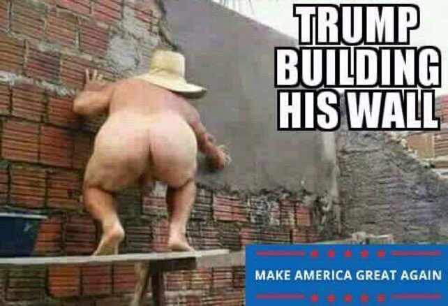 RepublicanB4Hil's tweet photo. @realDonaldTrump You're just another ignorant prick without a Wall or Steel Barrier! Why don't you get Mexico to pay, as you promised over and over! Or, build it yourself. #NoWall #TrumpResign https://t.co/ekjuOTrs7i