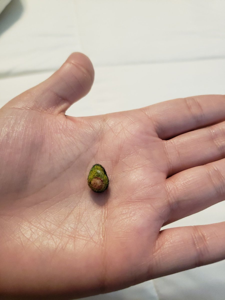 JackieBiernacki's tweet image. Felting brings calm #tinyavocado #felting