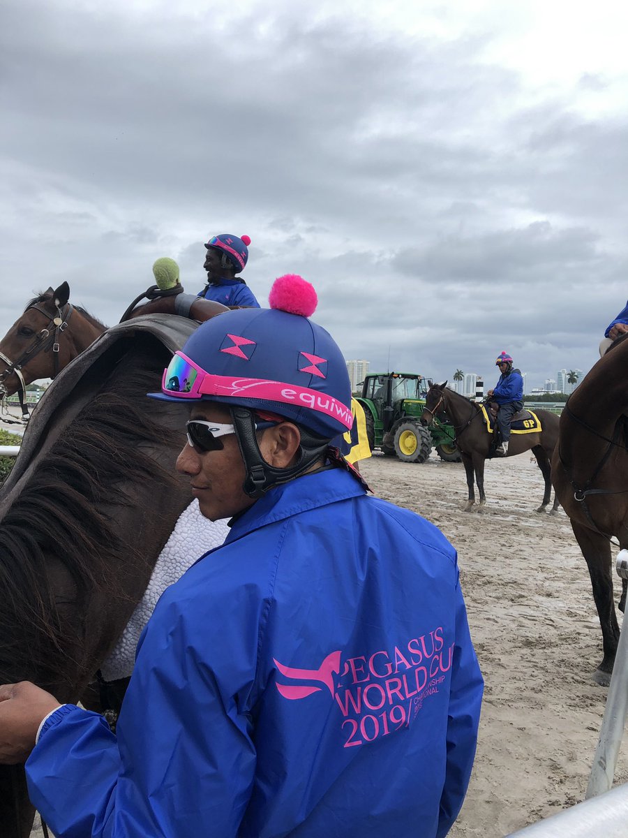 equiwin's tweet photo. Proud to be part of #pegasusworldcup 🏆at #gulfstreampark 🏇🏽 #equiwin #equiwinpartner #HorseRacing https://t.co/rnnHg8crS5
