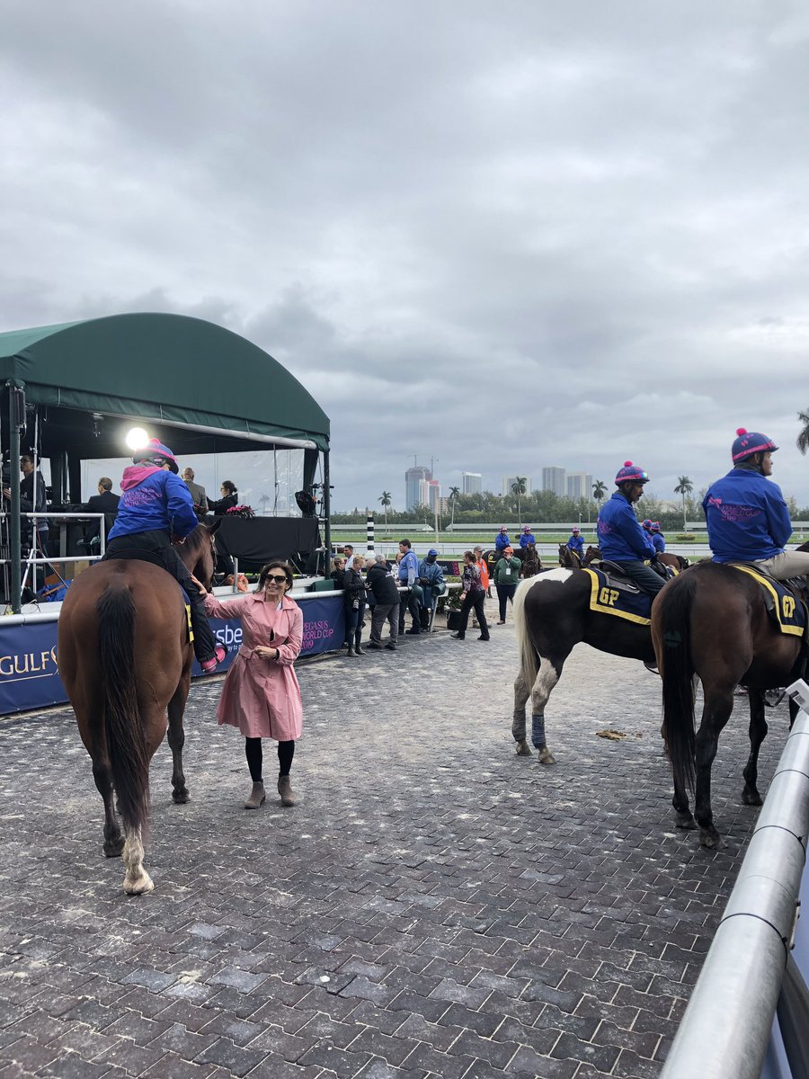 equiwin's tweet photo. Proud to be part of #pegasusworldcup 🏆at #gulfstreampark 🏇🏽 #equiwin #equiwinpartner #HorseRacing https://t.co/rnnHg8crS5