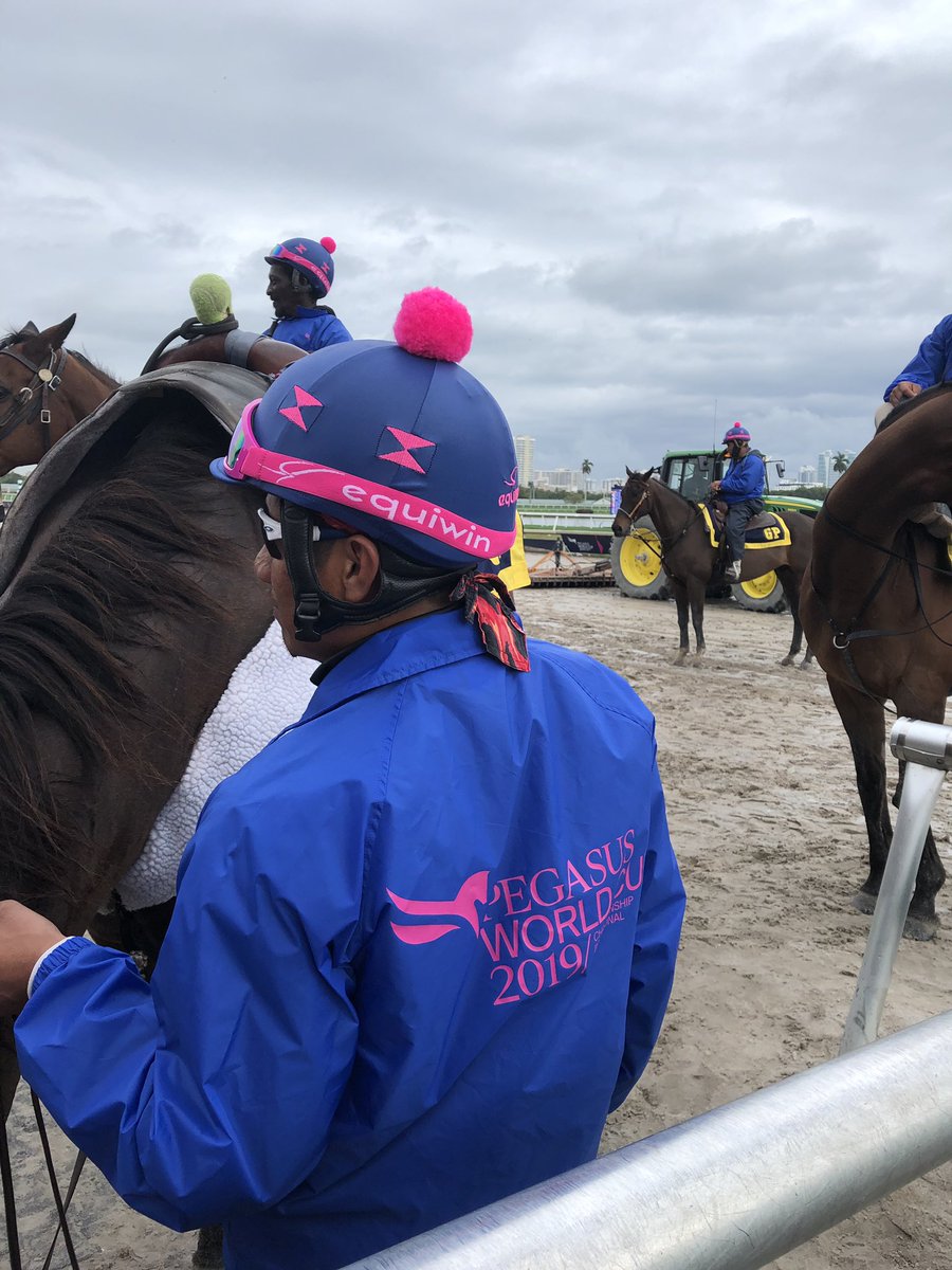 equiwin's tweet photo. Proud to be part of #pegasusworldcup 🏆at #gulfstreampark 🏇🏽 #equiwin #equiwinpartner #HorseRacing https://t.co/rnnHg8crS5
