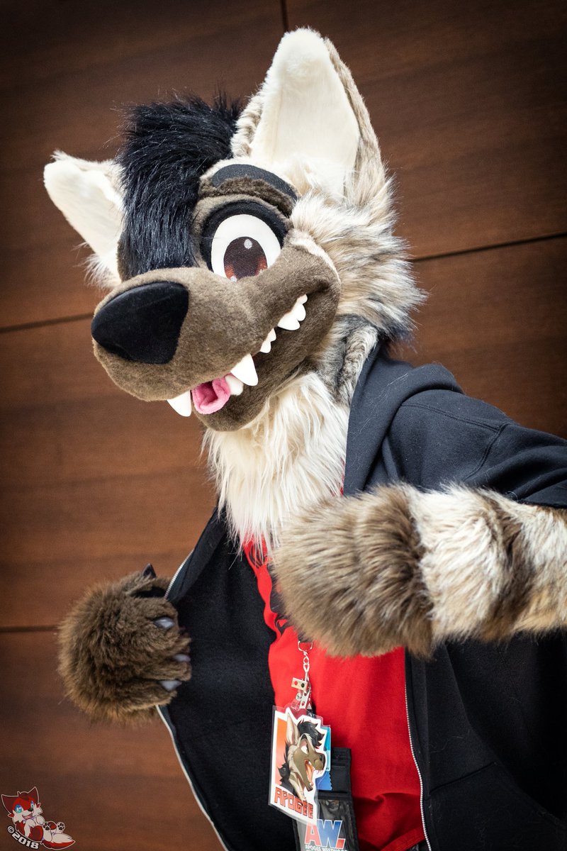 Here's a cool guy! 🌟
Suiter: <a href="/apogeeaardwolf/">Apogee Westwood</a> 
Suit by: @morefurless 
Con: MFF2017