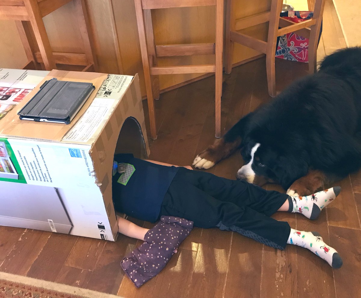 natasha_siren's tweet image. Crafting in this house involves turning boxes into MRI simulators #medicalkidcrafts #pupsupport #practicemakesperfect