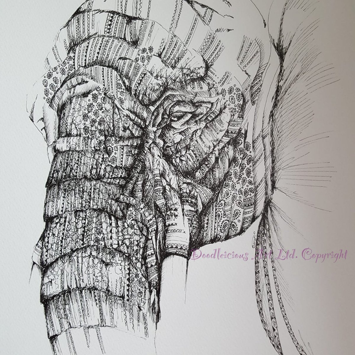 This beautifully detailed Elephant illustration is for sale. #Artsale #Elephant #Illustrator #Original @elephants @gordonbruceart @nantwichnews @ArtistDaily #unique #doodleicious #ArtistOnTwitter