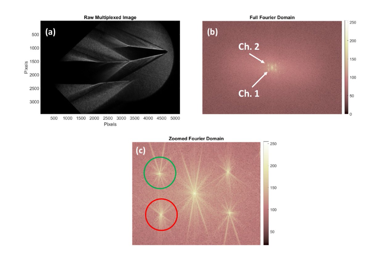 OpticaPubsGroup's tweet image. Read Peer Review Correspondence on the #OSA_Continuum paper Multiplexed structured image capture to increase the field of view for a single exposure ow.ly/tOBh30nqiFZ #FieldOfView #ImagingTechniques @UTKnoxville