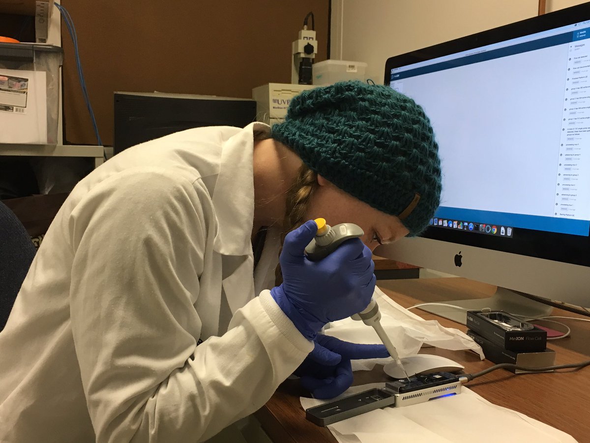 Pasquinelli Lab tweet media