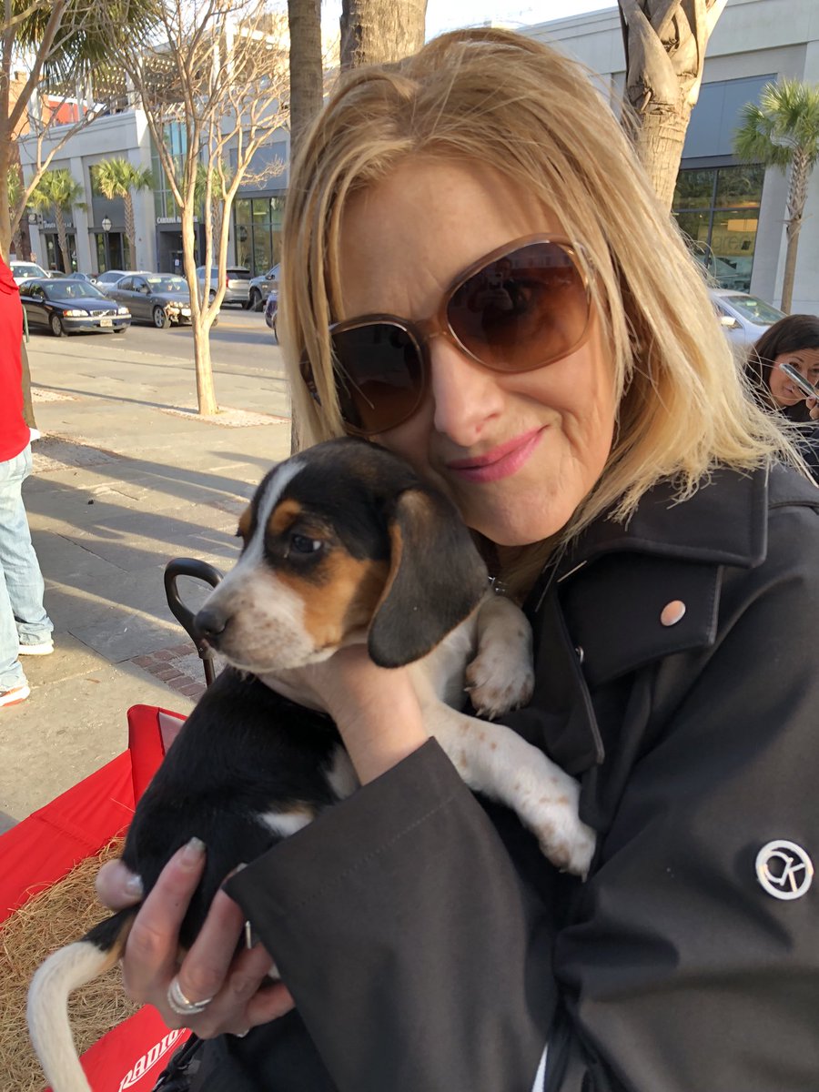 L_Falkenstein's tweet photo. Found a wagon full of 6 PUPPIES in park today in Charleston! I have been ecstatic all day❤️ https://t.co/nlKETziLnf