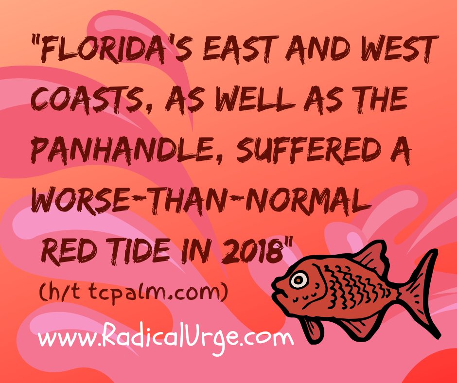 RadicalUrgeNow's tweet image. Troubled waters along the Florida coastline. 
#TCPalm#RadicalUrge#RedTide