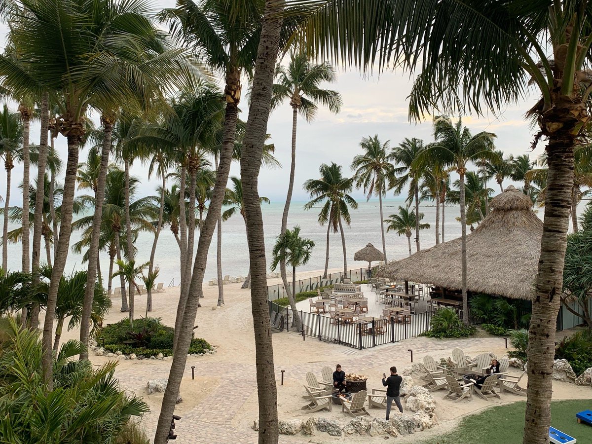 Otto 🌱 tweet media