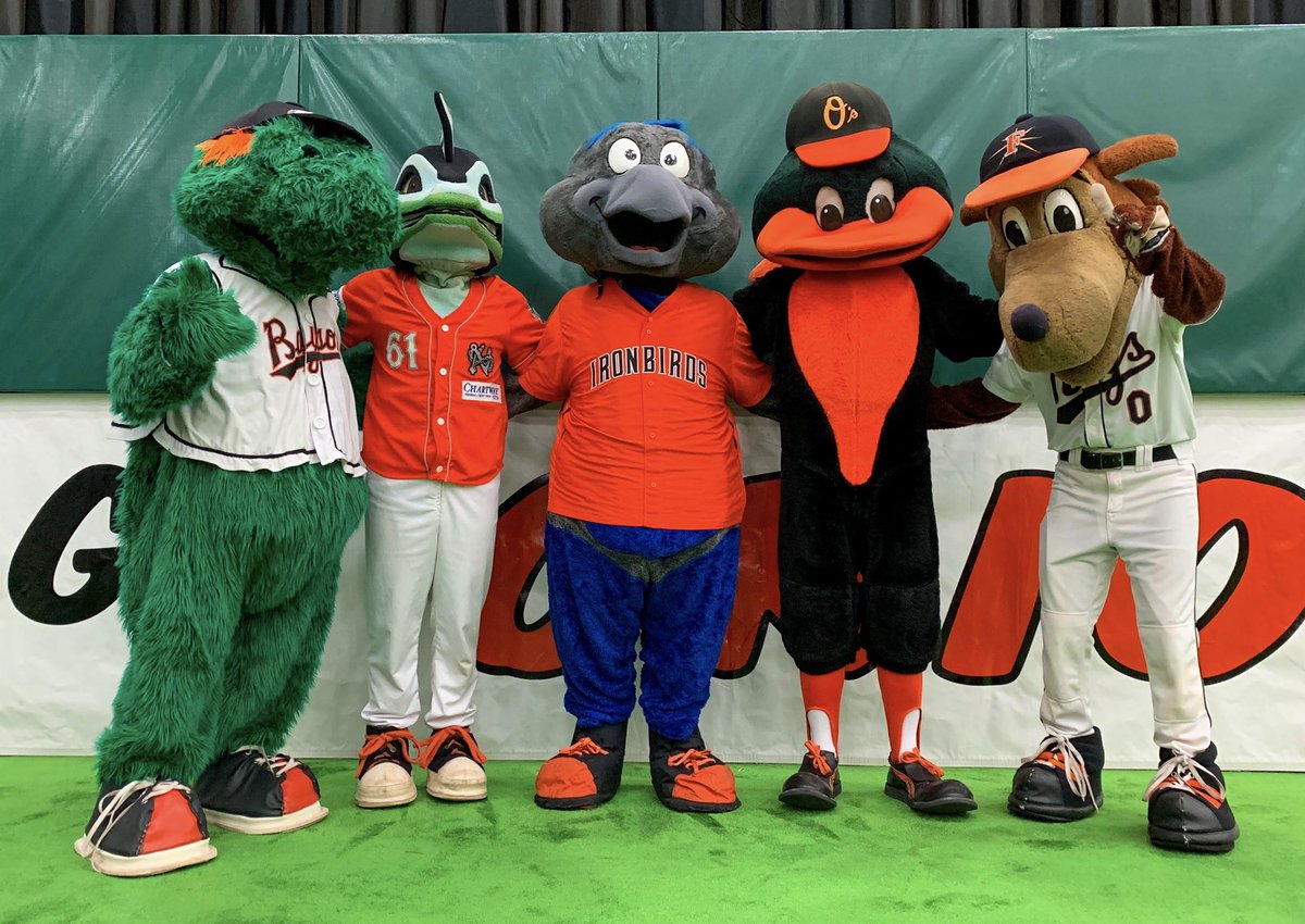Media Tweets by Aberdeen IronBirds (IronBirds) Twitter