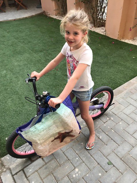 BSAKeco's tweet photo. Well done to Imogen in Dhabi. She chose to cycle to the shops with her reusable bag and then bought some fair trade products. @BSAKyear2 @BSAKdhabi @BSAKeco #WeAreCommitted https://t.co/2MTs6a3RIl