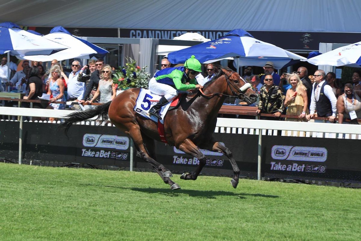 Doyle_Racing's tweet photo. Kasimir impressive in the Betting World Cape Flying Championship Grade 1 at Kenilworth congrats to connections #topclasssprinter @DrakensteinStud 🚀🚀🚀🚀 https://t.co/FR5WHk1hjH