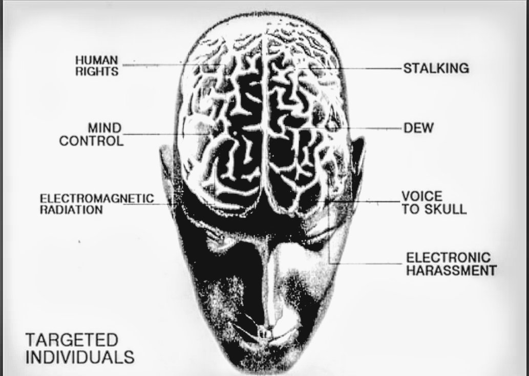 lonelite2's tweet photo. Yup...Me &amp; You! You reading this now in Stealth. Secretly. Imposing, judging, turning a blind eye to ALL of our Fate. #WakeUpAmerica! #OrganizedStalkingHarassment #GangStalking #TI #TargetedIndividuals https://t.co/EAzqAJLcrx