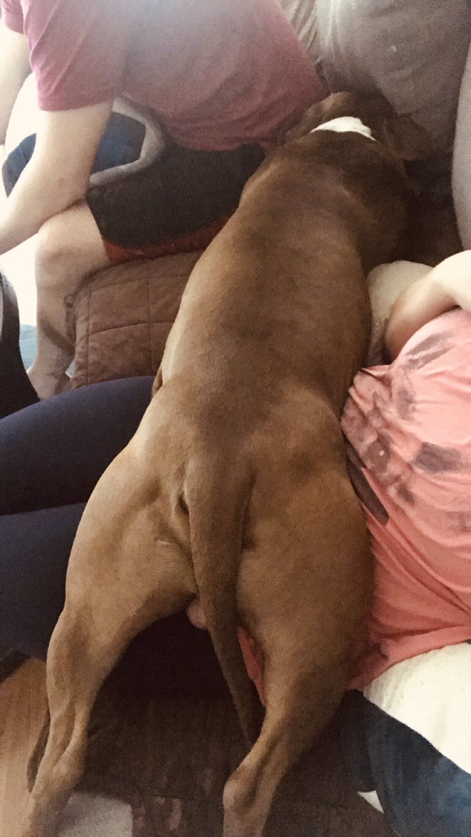 kady_holland's tweet photo. βMom I heard the @diamondresorts #TournamentofChampions was super fun but can you like never leave me ever again...β
#Stage5Clinger π₯° #ExtraSnuggles π #MustBeTouchingMomAtAllTimes πΆβ€οΈ @shmooie1 @Killian_DRI_FL @Tflood1113 @AshleyYfantidis @SidneyRayDR https://t.co/I89NtnzXqW