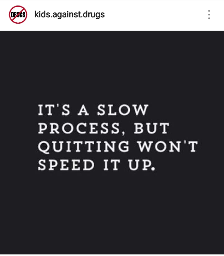 PitchFanz's tweet photo. #PitchFanz #Pitch #RenewPitch #PitchOnFox #KeepHerInTheGame #Fox #SavePitch #PickUpPitch #Happiness #Share #SanDiego #HappyNewYear  #MotivationalQuoteS #Motivational https://t.co/sJ2XdlLvjw