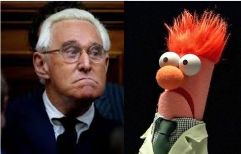 susanharkema's tweet photo. I thought #RogerStone reminded me of someone. #TrumpMuppet https://t.co/Xd6N5ewdGq