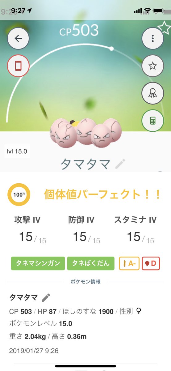 タマタマ100 タマタマ100