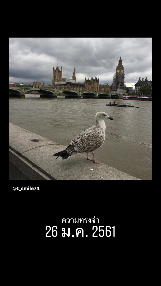 สิ่งดีดี tweet media