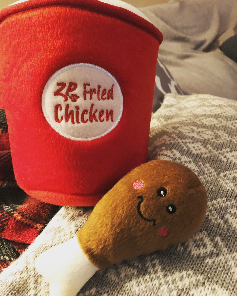 sedwardsknox's tweet photo. You know you live in the South when dog toys look like a bucket o’ fried chicken. https://t.co/muaD7Ya7KC
