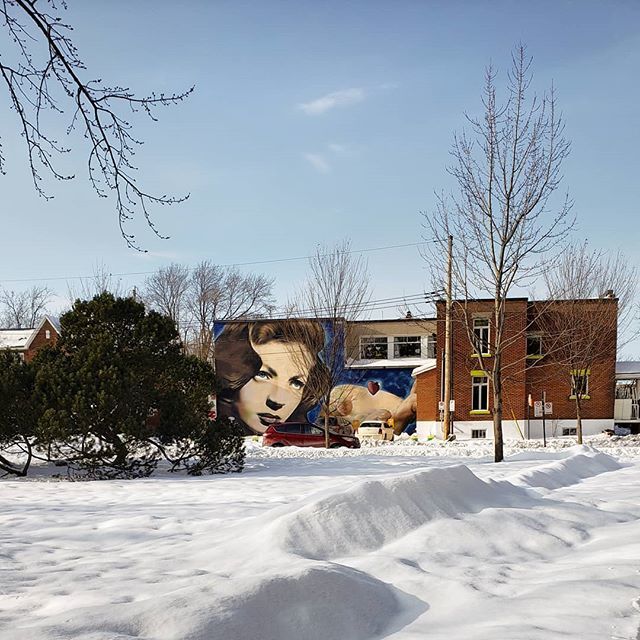 alexsusma's tweet photo. Beautiful winter day In Montreal!·
·
·
·
·
#sunny #winter #snow #sunnyday #sunnydays #love #nature #spring #wintertime #snowboard #sunnyvale #winterishere #snowboarding #sunnyleone #photography #mountains #winterfashion #snowy #sunnysideup #travel #snowi… https://t.co/orffOIm9CV https://t.co/vrmfnWSm8w