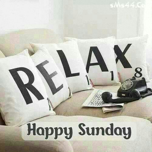 Twelfy12's tweet photo. Looks relaxing to us! https://t.co/GoX0Aiad0I