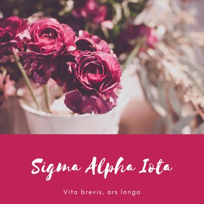 SAIAlphaIota's tweet photo. #NewProfilePic https://t.co/FUeFOZQxOG