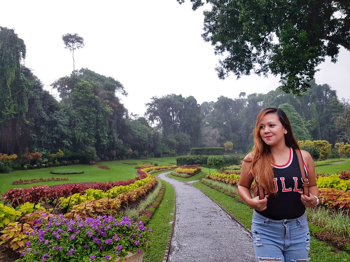 Chaaa0520's tweet photo. Botanical Garden in SriLanka.
The beauty of nature. 
#wheninsrilanka 
#srilankatravels https://t.co/Vs2Yo1yY66