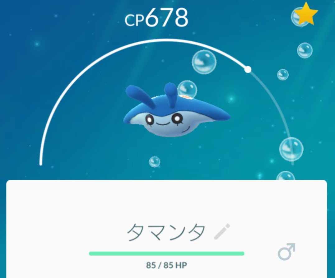 ベイビィポケモン
