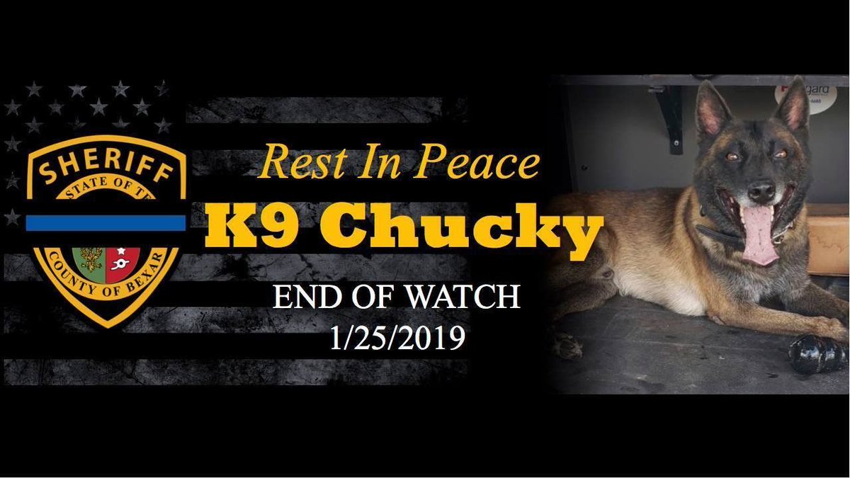 K9 Chucky of Bexar County Sheriff’s Office shot and killed taking down armed suspect. Our deepest condolences to the BCSO community. Thank you for your loyal service. buff.ly/2FPonOd
#K9 #K9unit #K9Officer