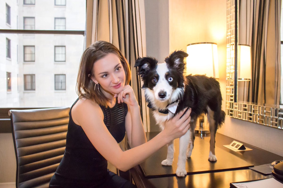 Katie Cleek tweet media