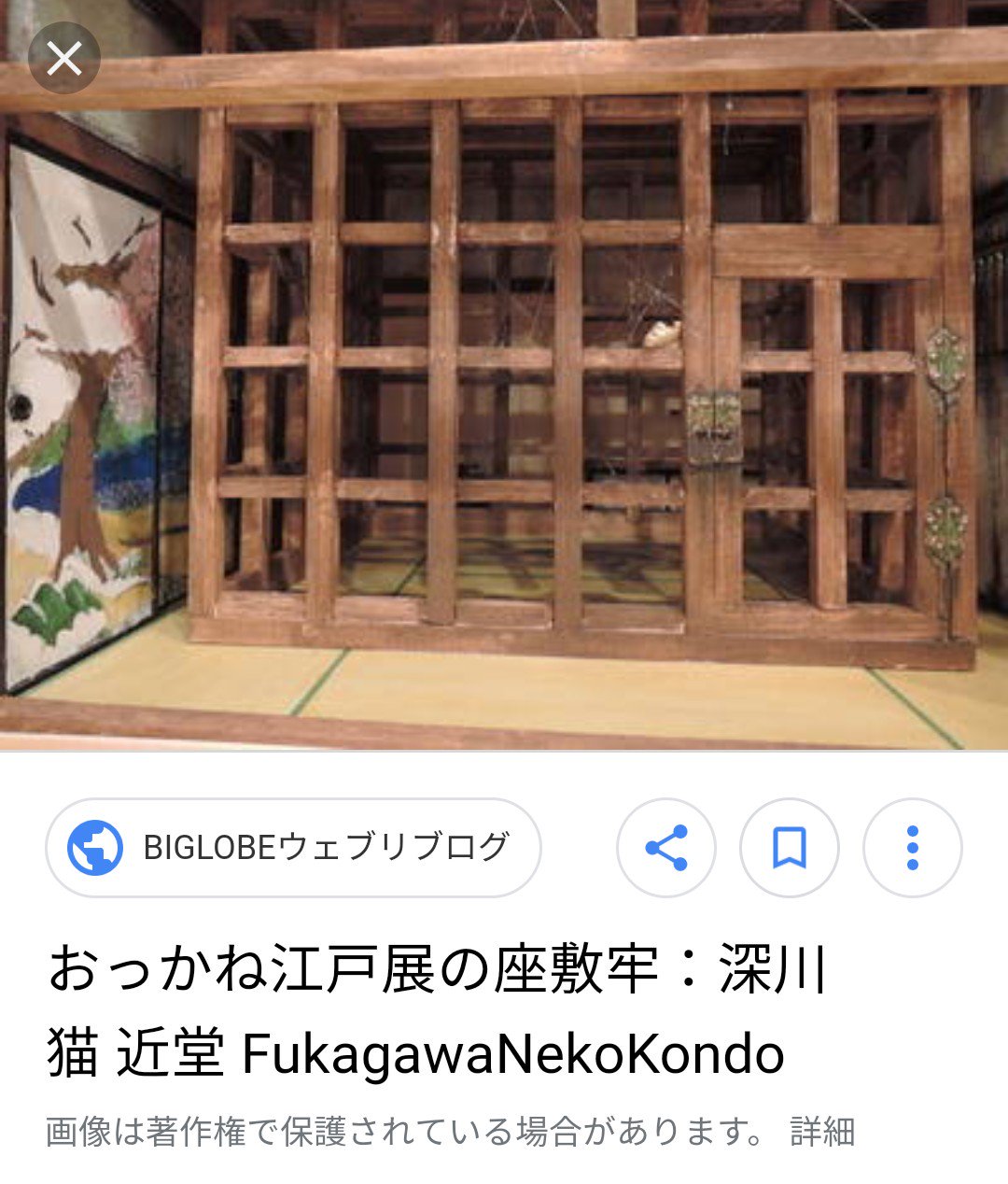 座敷牢での脱皮」 ethiopiatropicaltours.com