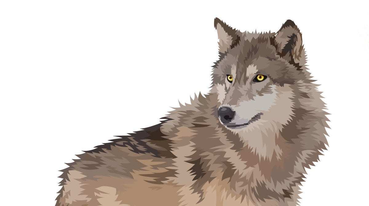 #オオカミ #狼 #wolf #イラスト #illustrator #ベジェ #イラレ #vectorart #アニマル 