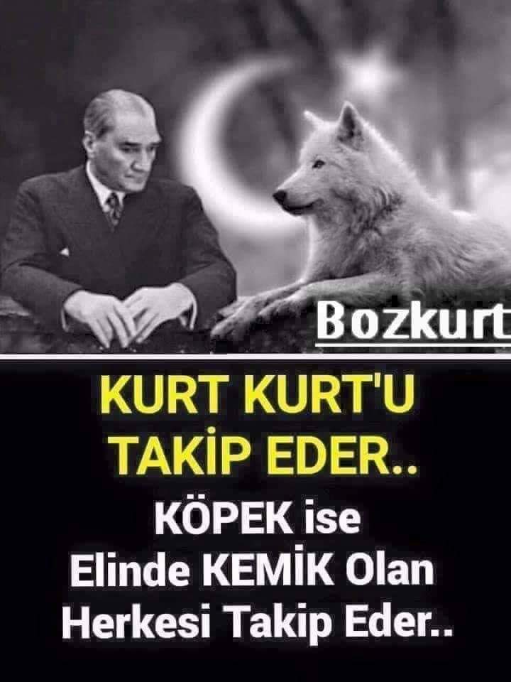 fenerium010's tweet photo. TURK IRKI NIN ATA SI VAR DIGER LERI SUTU KANI BOZUK NE OLDUK LARI BELLI DEGIL https://t.co/6ubXjbdBku