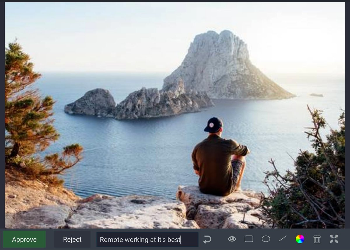 Approval workflows within the platform