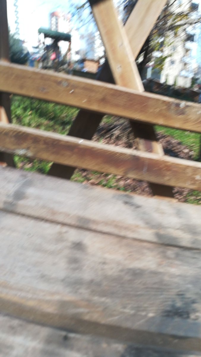 Semtte kedi kalmamış da buralara yürümüş değilim.Yakınlığım yok hiçbiriyle.Fakat buranın kedileri farklı.Mevzu salam ve süt değil.Karın doyurmak bahane.Güzelinden bir şiir okudum mu, ruhlarına ithaf eden nakaratlarla kulaklarını doldurdum mu tamam.Sütün tadı da başka olur.🐈