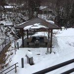 ツイートに含まれる画像