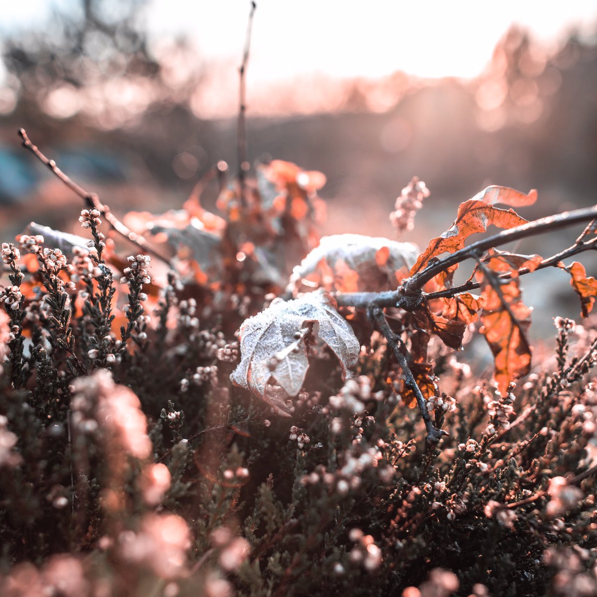 In the right light, at the right time, everything is extraordinary. <a href="/visitsweden/">Visit Sweden</a> #visitsweden #göteborgs
#göteborgsstad
#sweden
#swedens
#swedenshots
#swedenimages
#sweden_photolovers
#swedenlove
#swedenlife
#swedennature
#swedenphotography
New post instagram.com/p/BtIbbu3nyyA/