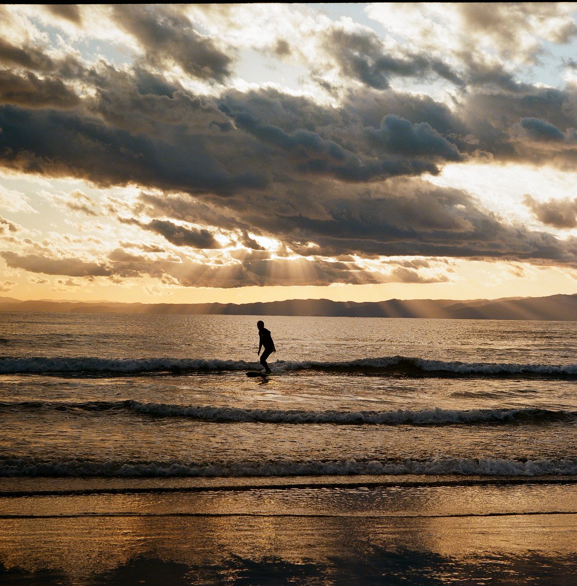 CZR13122's tweet photo. Pentacon Six TL
Carl Zeiss Jena Biometar 120mm F2.8
Kodak Ektar100 https://t.co/gaTYdYvQkf