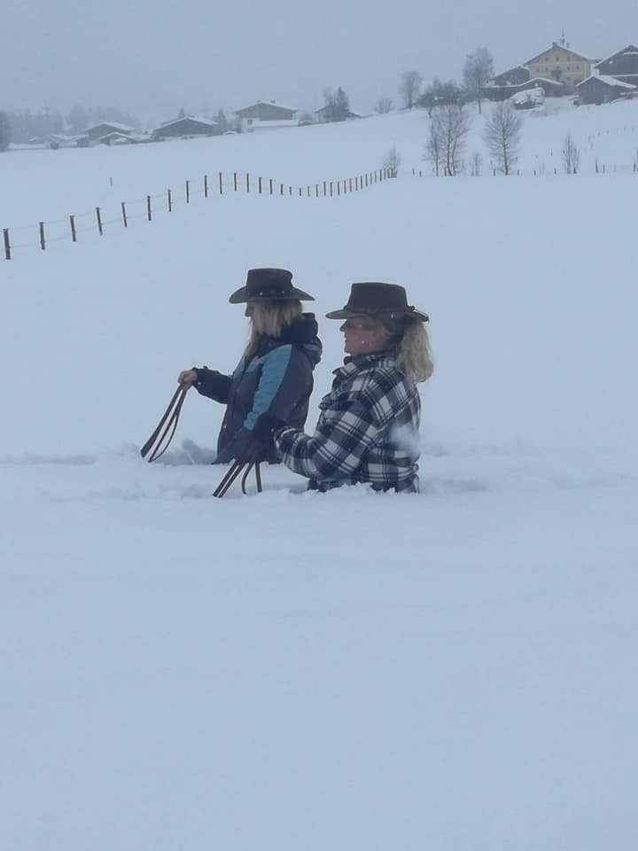 @LLatukhina Majestic and powerful creatures..love to..
#frolicinthesnow
Winter ride..
#Canadianstyle..😁
Because..
#wearewinter
PeacefromCanada