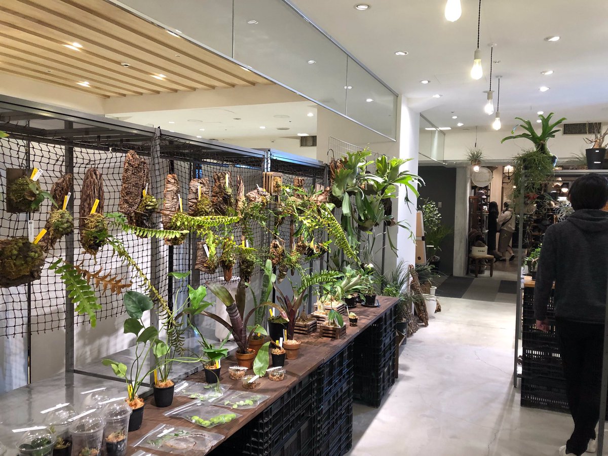 植木屋21