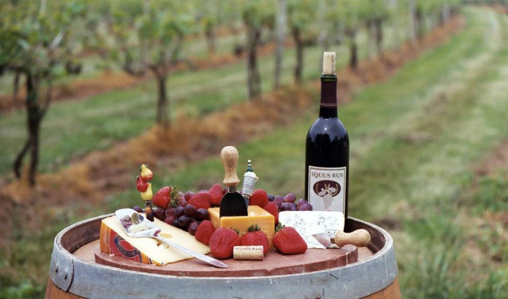 Banjara & Gypsy tweet media