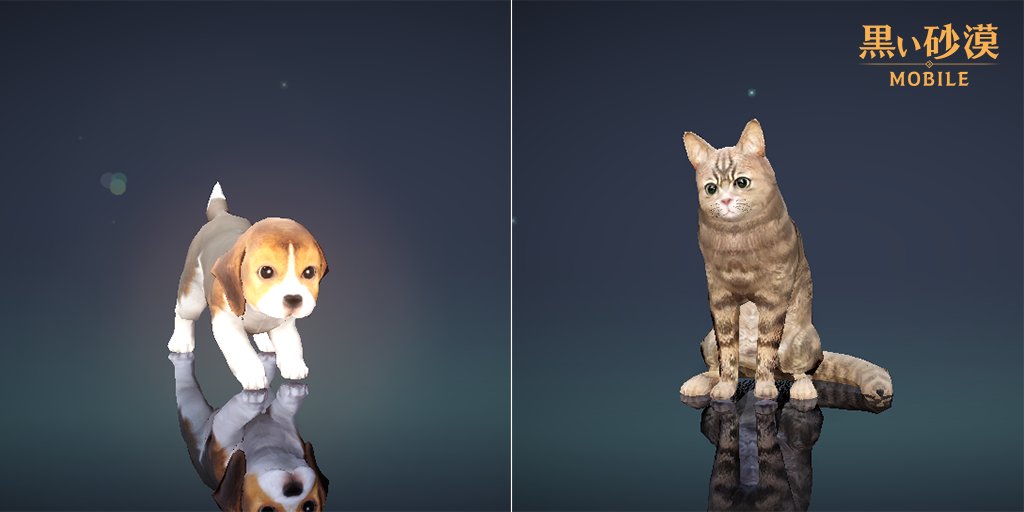 公式 黒い砂漠モバイル 黒い砂漠mobile に登場するかわいいペットを紹介いたします 添付画像左側が バレノスビーグルです 右側は バレノスの茶色猫になります みなさまはどちらがお好みでしょうか 黒い砂漠mobile 黒い砂漠モバイル 公式 黒い砂漠モバイル 黒い砂漠mobile に登場するかわいいペットを紹介いたします 添付画像左側が バレノスビーグルです 右側は バレノスの茶色猫になります みなさまはどちらがお好みでしょうか 黒い砂漠mobile 黒い砂漠モバイル