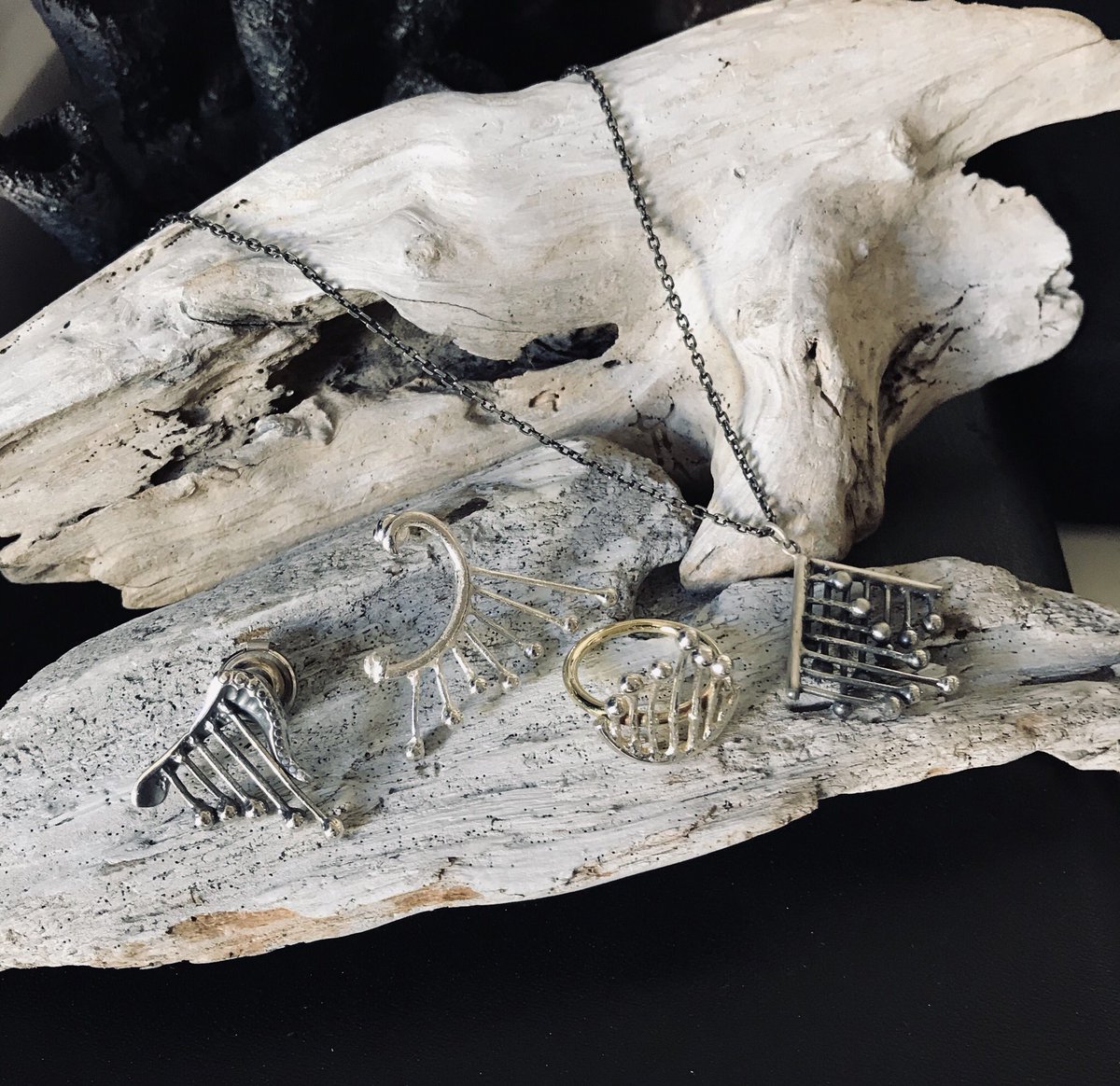 コンドロクラディア リラ