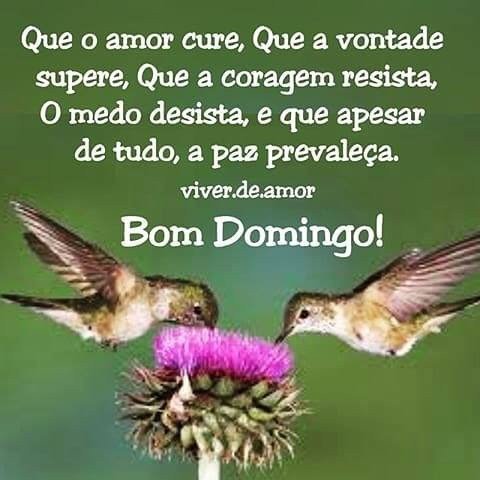 Espiritismo Brasil Chico Xavier on Twitter: Espiritismo Brasil Chico Xavier on Twitter: